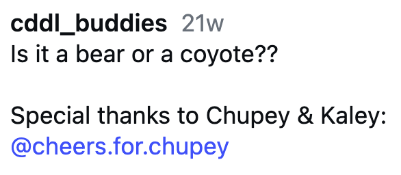 cddl_buddies 21w Is it a bear or a coyote?? Special thanks to Chupey & Kaley: @cheers.for.chupey
