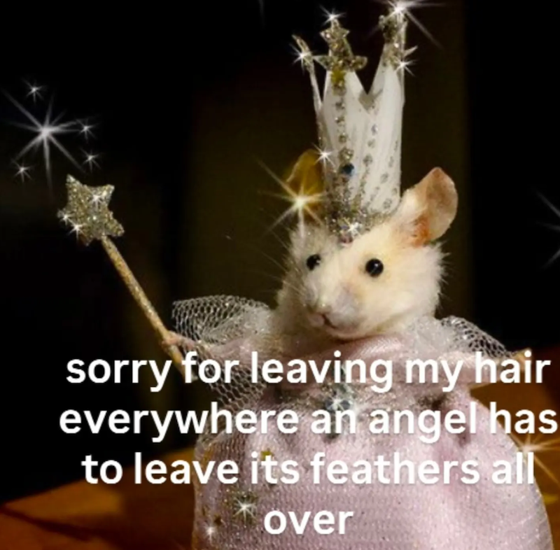 sorry for leaving my hair everywhere an angel has to leave its feathers all over