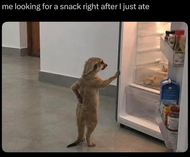 me looking for a snack right after I just ate