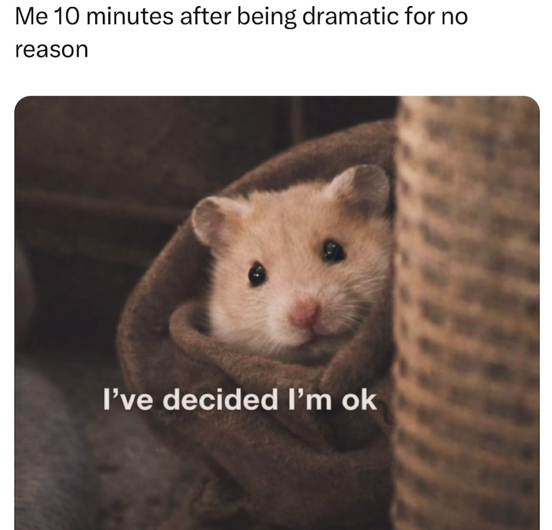 Me 10 minutes after being dramatic for no reason I've decided I'm ok