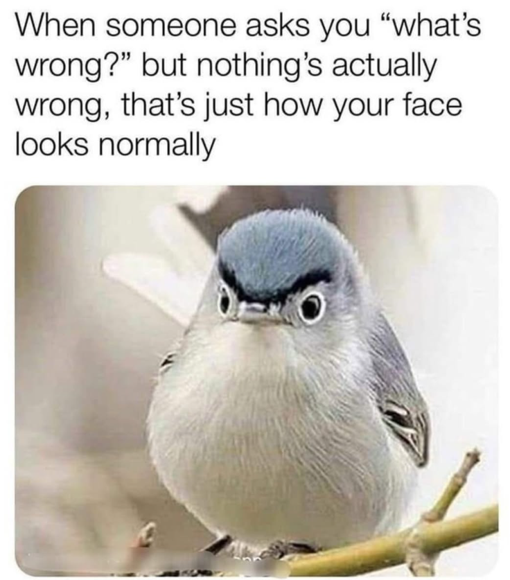 When someone asks you "what's wrong?" but nothing's actually wrong, that's just how your face looks normally