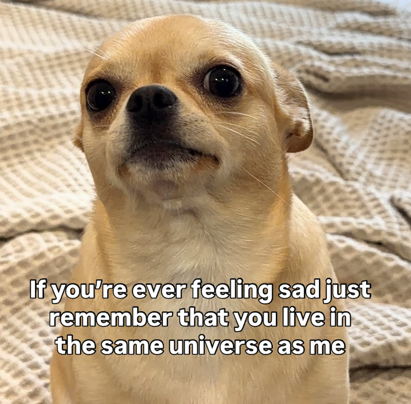 If you're ever feeling sad just remember that you live in the same universe as me