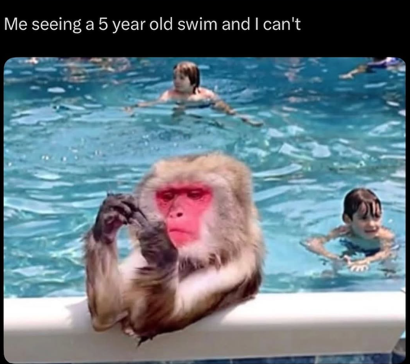 Me seeing a 5 year old swim and I can't