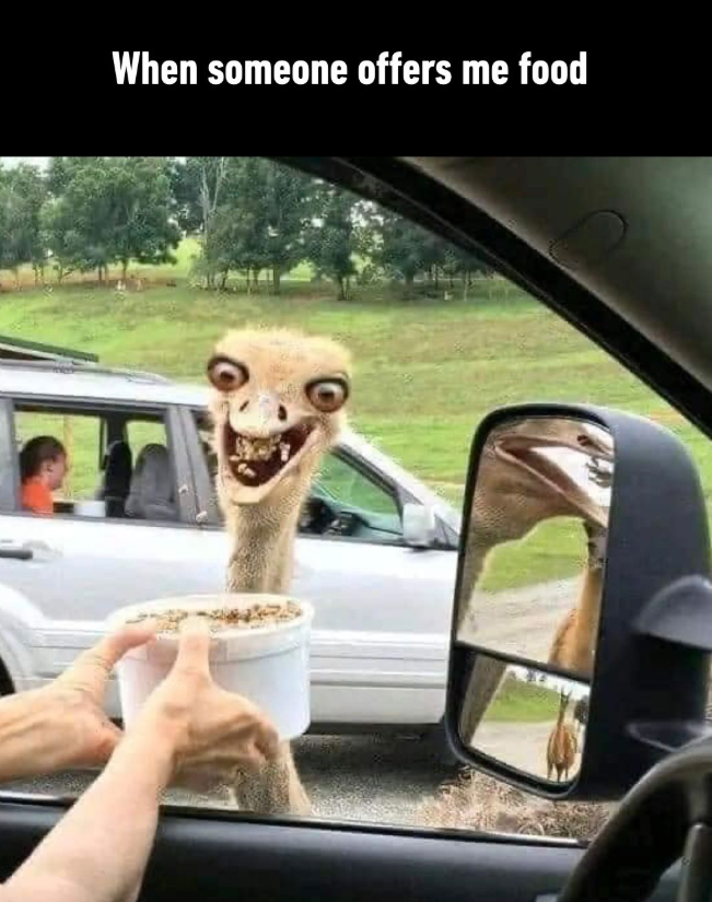 When someone offers me food