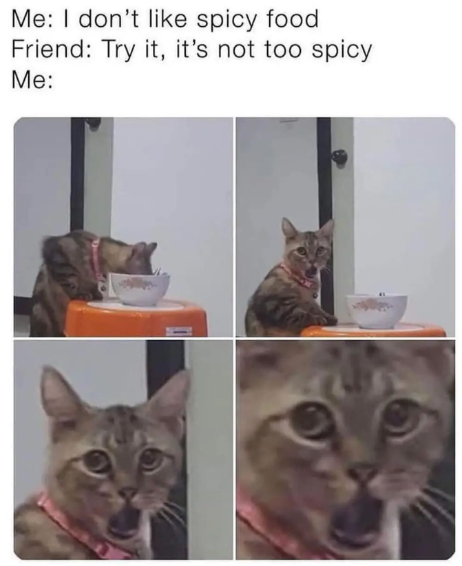 Me: I don't like spicy food Friend: Try it, it's not too spicy Me: