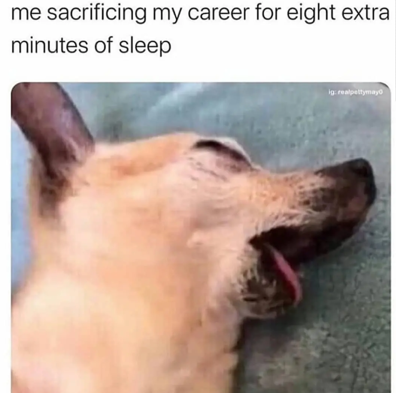 me sacrificing my career for eight extra minutes of sleep ig: realpettymayo