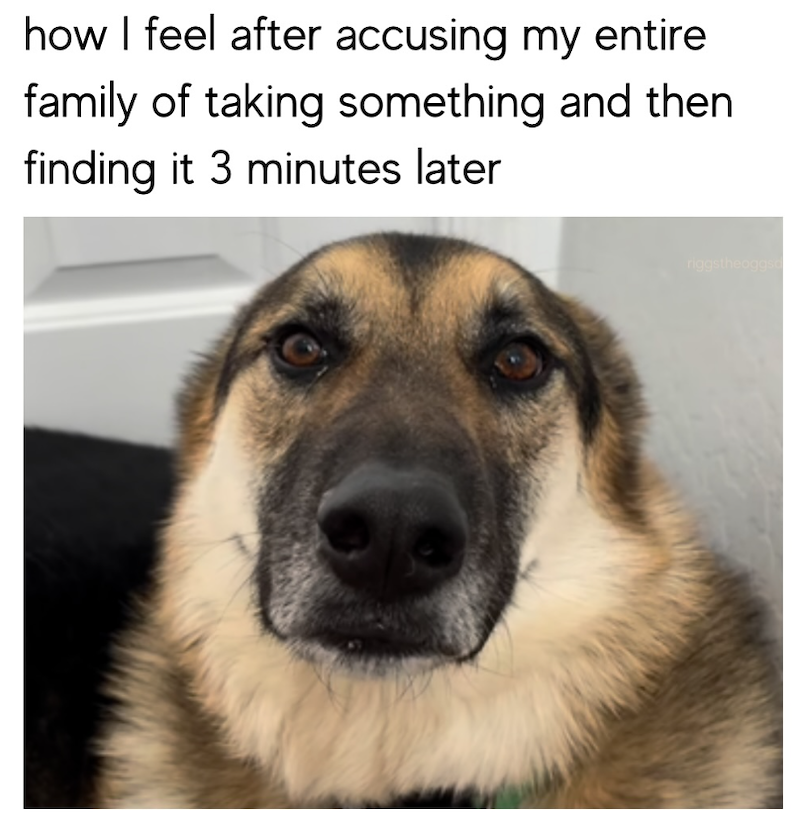 how I feel after accusing my entire family of taking something and then finding it 3 minutes later riggstheoggs