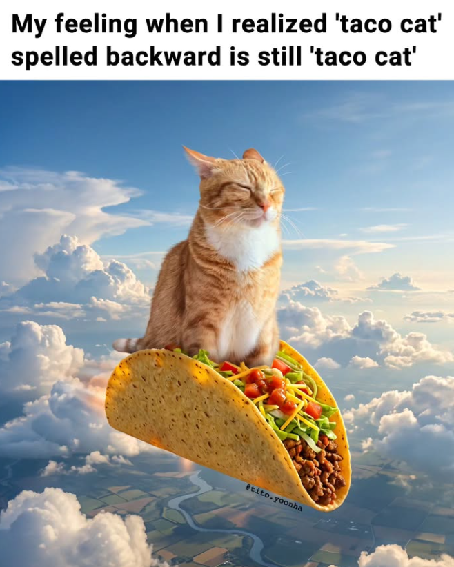 My feeling when I realized 'taco cat' spelled backward is still 'taco cat' etito.yoonha