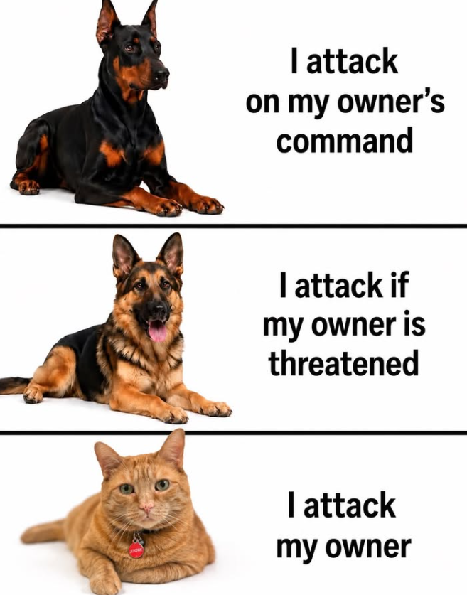 I attack on my owner's command I attack if my owner is threatened I attack my owner