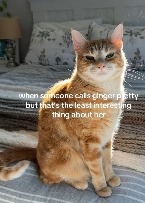 WA when someone calls ginger pretty but that's the least interesting thing about her