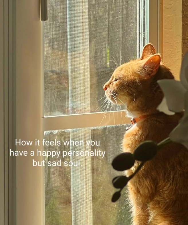 How it feels when you have a happy personality but sad soul.