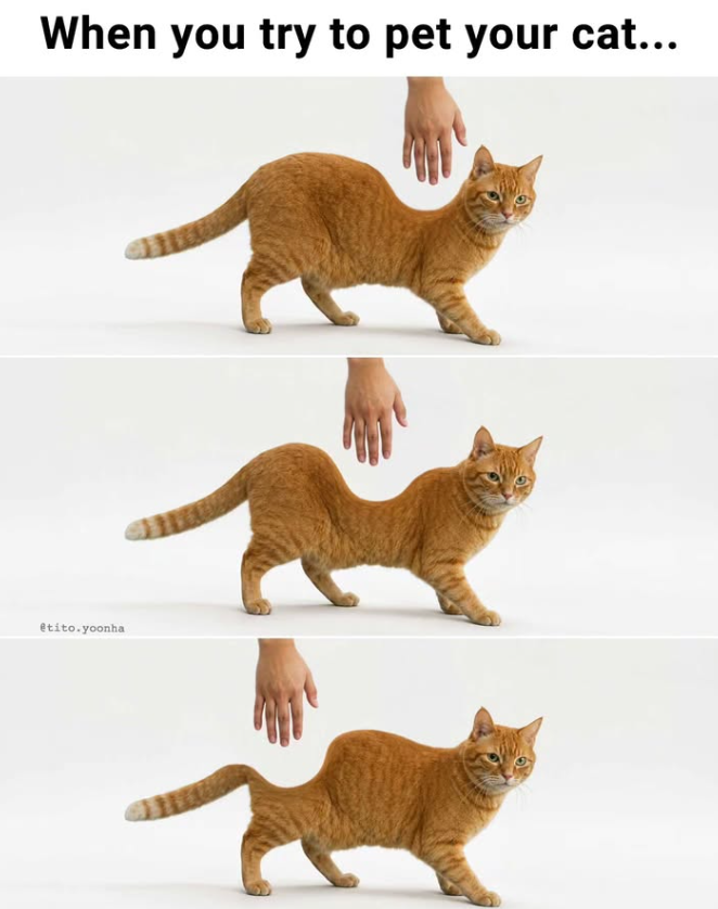 When you try to pet your cat... etito.yoonha