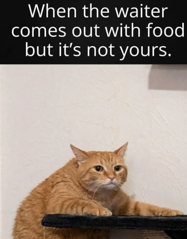 When the waiter comes out with food but it's not yours.