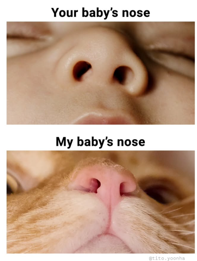 Your baby's nose My baby's nose @tito.yoonha