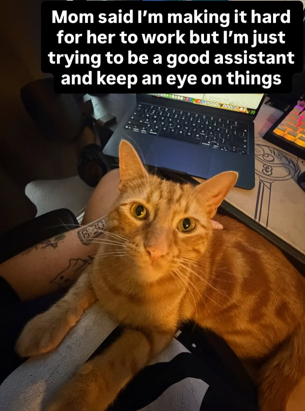 Mom said I'm making it hard for her to work but I'm just trying to be a good assistant and keep an eye on things 3