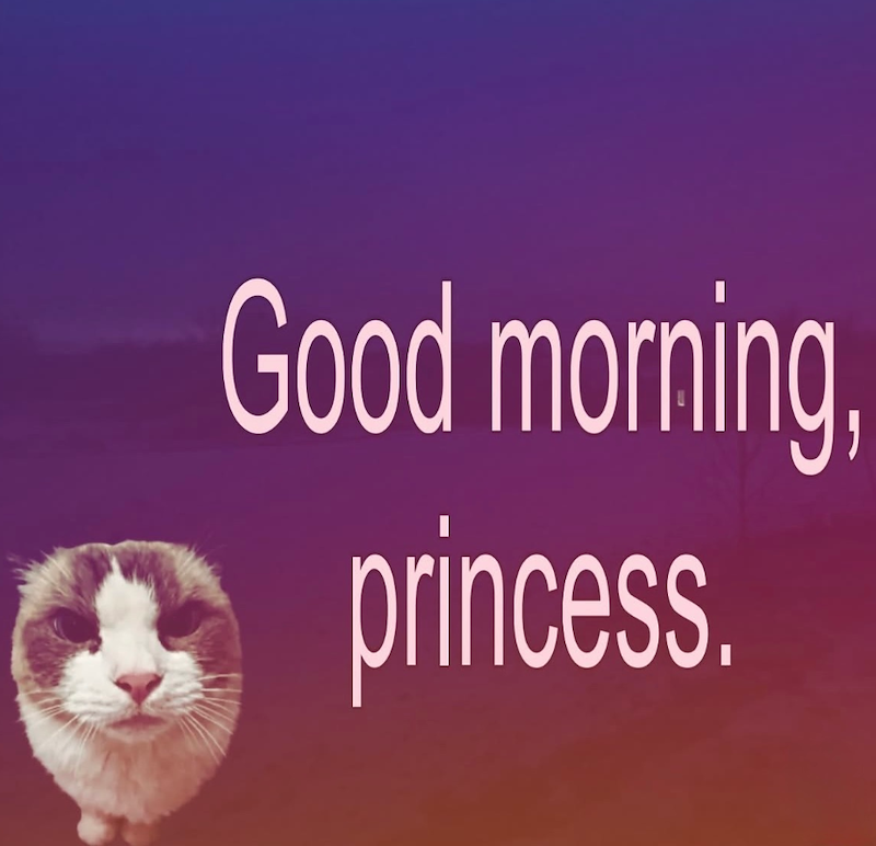 Good morning. princess.