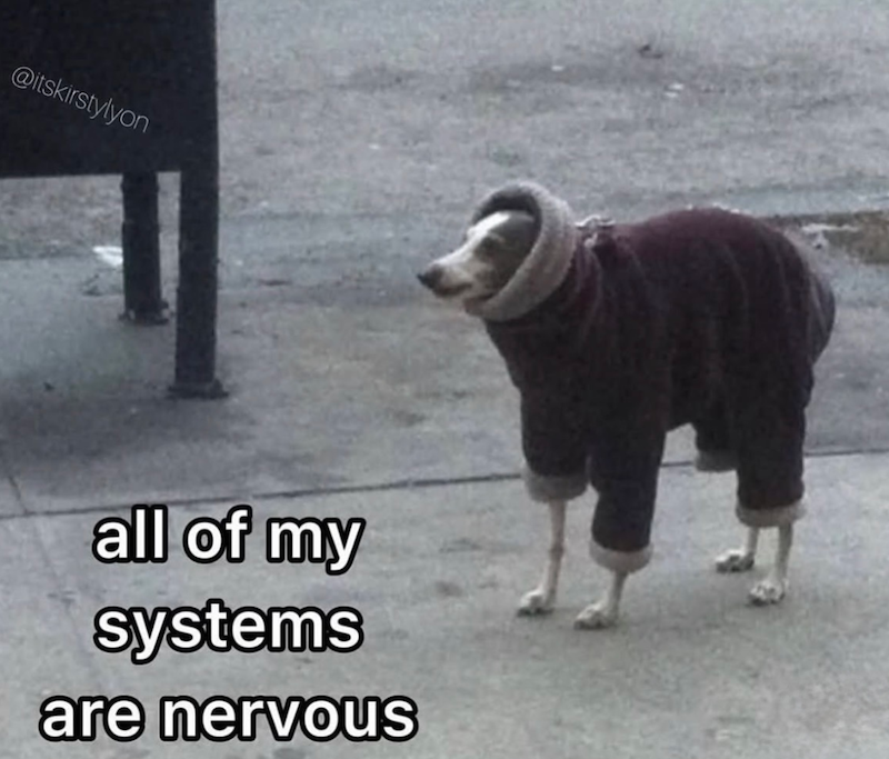 @itskirstylyon all of my systems are nervous