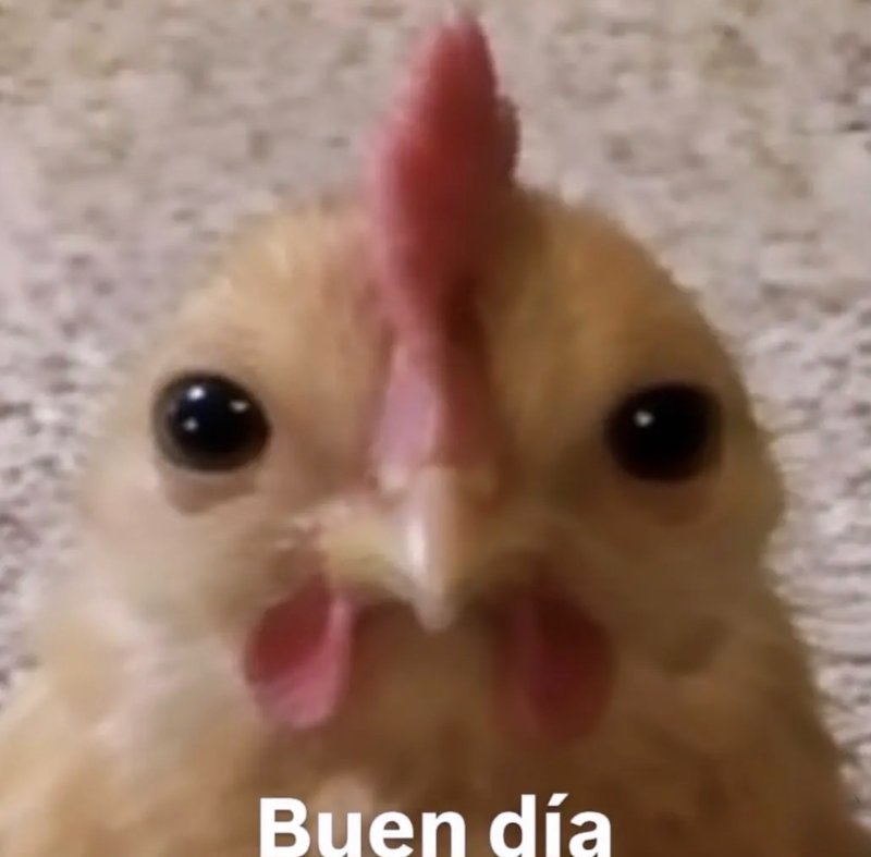 Buen día