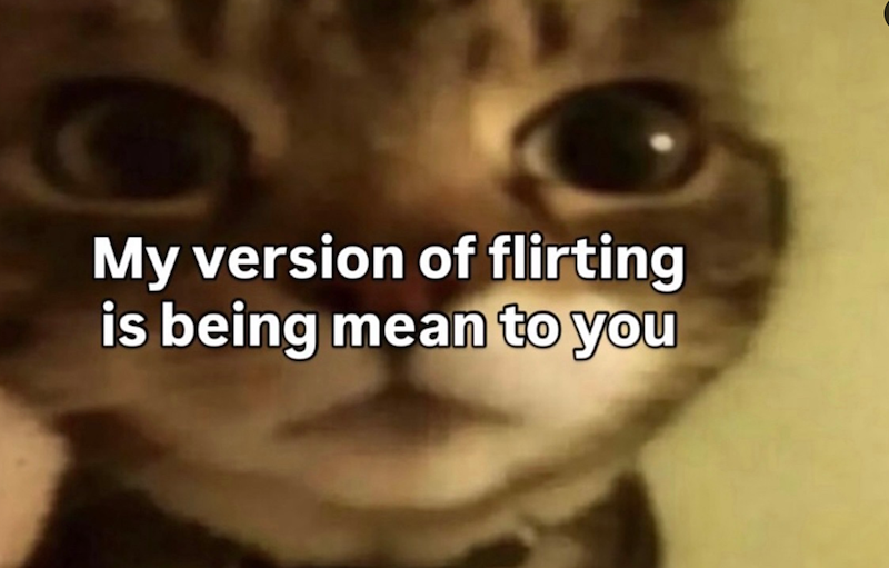 My version of flirting is being mean to you