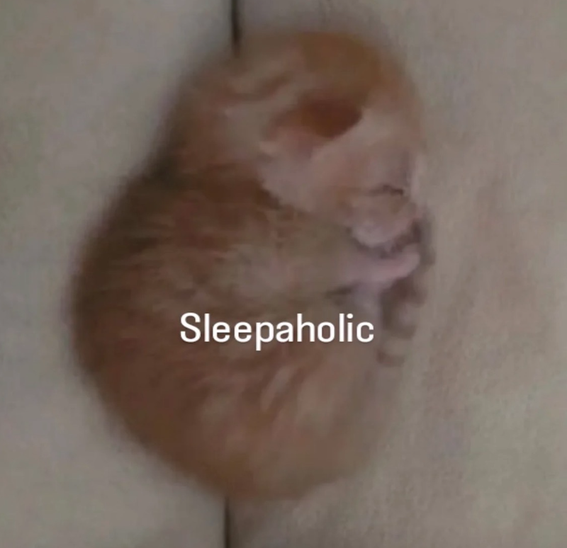 Sleepaholic