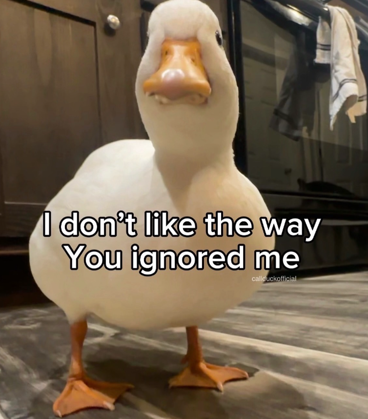 I don't like the way You ignored me callduckofficial