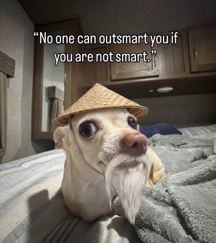 "No one can outsmart you if you are not smart.