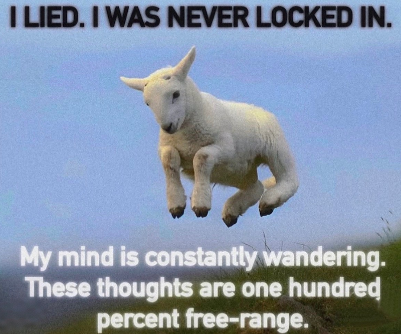 I LIED. I WAS NEVER LOCKED IN. My mind is constantly wandering. These thoughts are one hundred percent free-range.