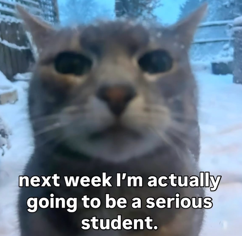 next week I'm actually going to be a serious student.