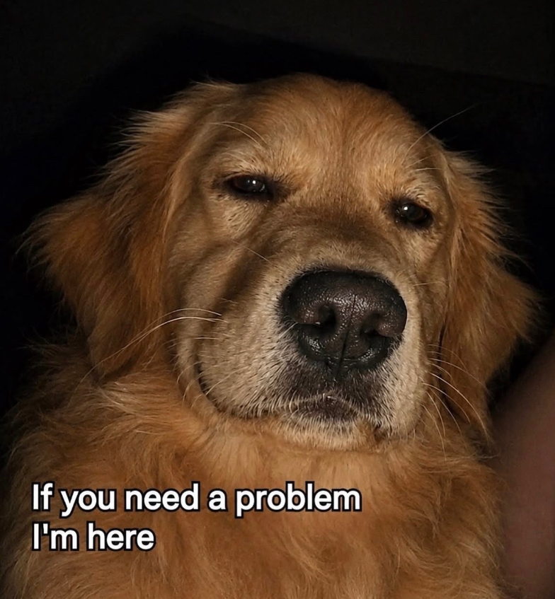 If you need a problem I'm here