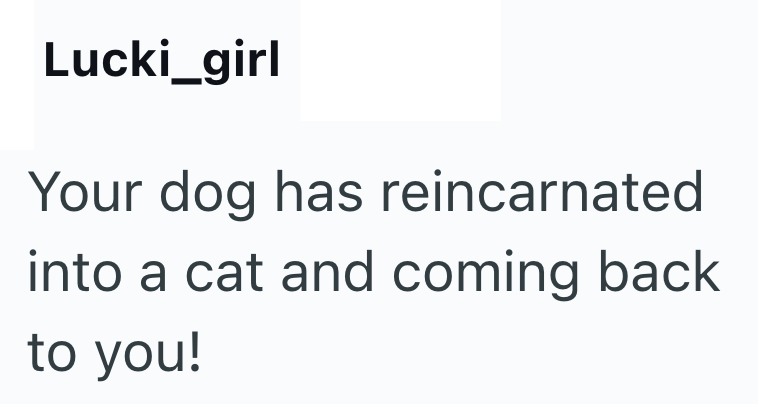 Lucki_girl Your dog has reincarnated into a cat and coming back to you!