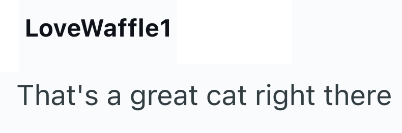 LoveWaffle1 That's a great cat right there