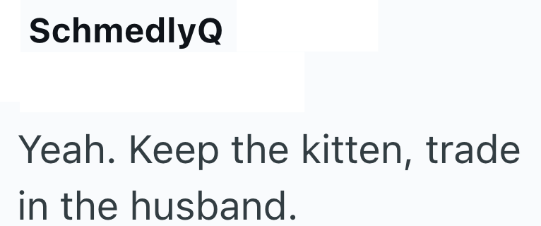 SchmedlyQ Yeah. Keep the kitten, trade in the husband.