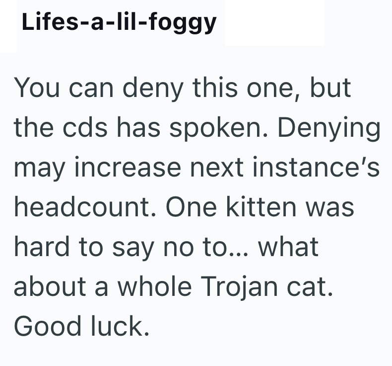 Lifes-a-lil-foggy You can deny this one, but the cds has spoken. Denying may increase next instance's headcount. One kitten was hard to say no to... what about a whole Trojan cat. Good luck.