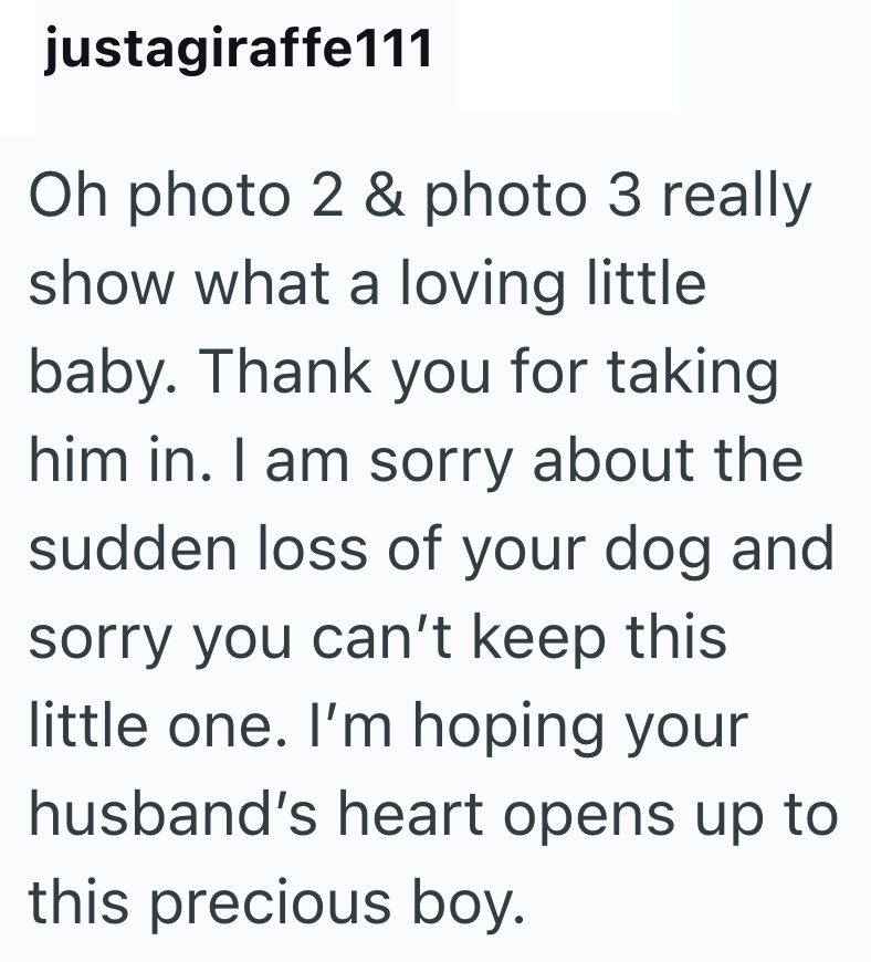 justagiraffe111 Oh photo 2 & photo 3 really show what a loving little baby. Thank you for taking him in. I am sorry about the sudden loss of your dog and sorry you can't keep this little one. I'm hoping your husband's heart opens up to this precious boy.