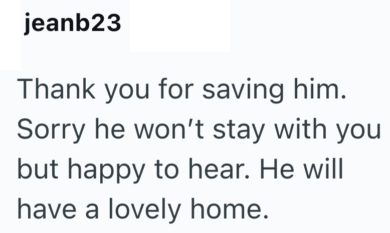 jeanb23 Thank you for saving him. Sorry he won't stay with you but happy to hear. He will have a lovely home.