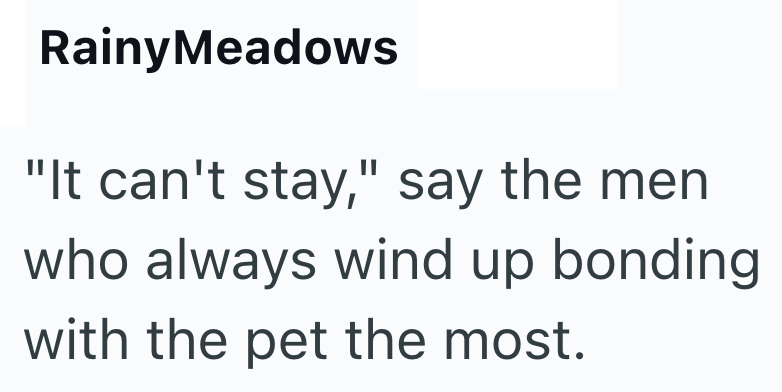 Rainy Meadows "It can't stay," say the men who always wind up bonding with the pet the most.
