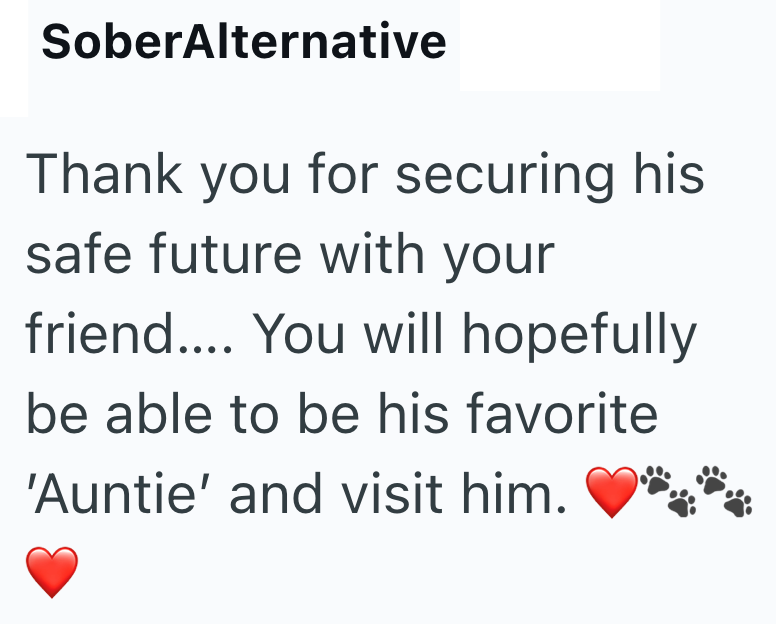 SoberAlternative Thank you for securing his safe future with your friend.... You will hopefully be able to be his favorite 'Auntie' and visit him.