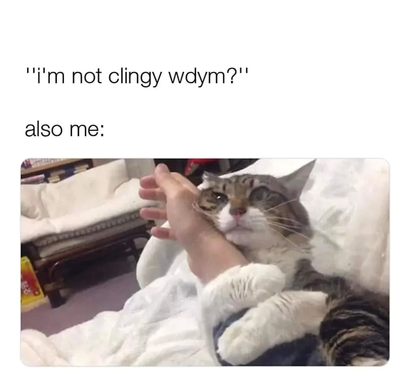 "i'm not clingy wdym?" also me: