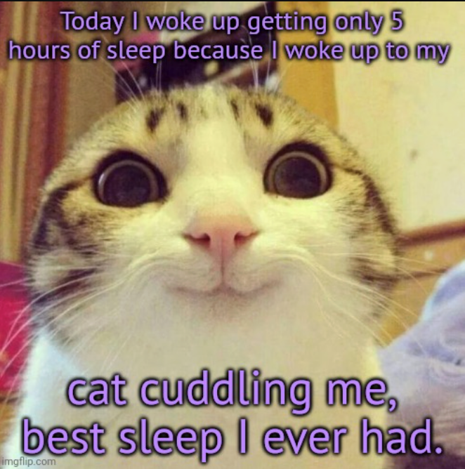 Today I woke up getting only 5 hours of sleep because I woke up to my cat cuddling me, best sleep I ever had. imgflip.com