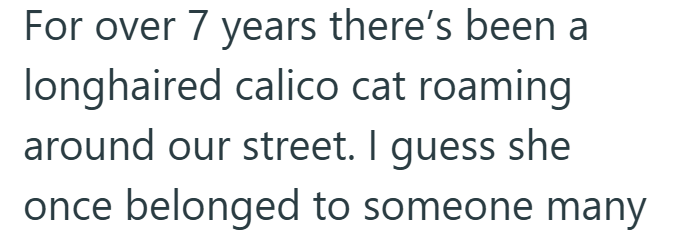 For over 7 years there's been a longhaired calico cat roaming around our street. I guess she once belonged to someone many