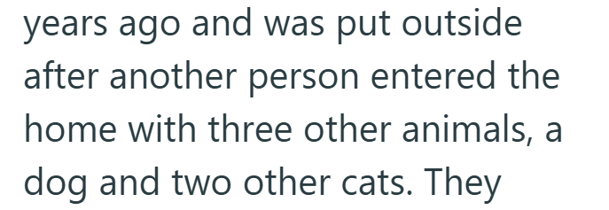 years ago and was put outside after another person entered the home with three other animals, a dog and two other cats. They
