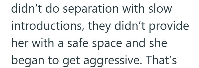 didn't do separation with slow introductions, they didn't provide her with a safe space and she began to get aggressive. That's