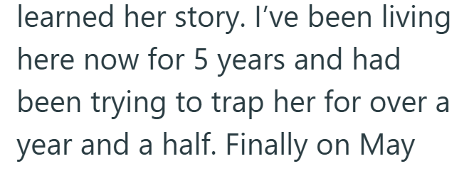learned her story. I've been living here now for 5 years and had been trying to trap her for over a year and a half. Finally on May
