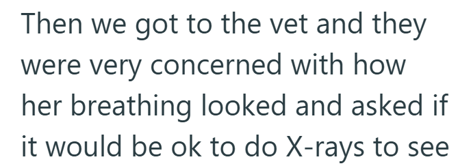 Then we got to the vet and they were very concerned with how her breathing looked and asked if it would be ok to do X-rays to see