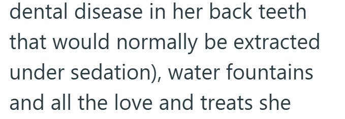 dental disease in her back teeth that would normally be extracted under sedation), water fountains and all the love and treats she