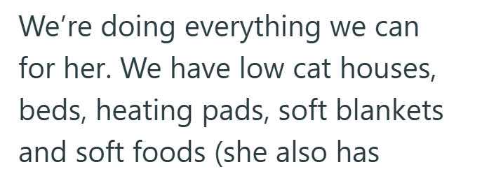 We're doing everything we can for her. We have low cat houses, beds, heating pads, soft blankets and soft foods (she also has