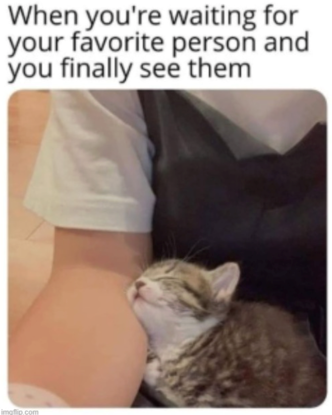 When you're waiting for your favorite person and you finally see them imgflip.com