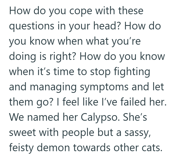 How do you cope with these questions in your head? How do you know when what you're doing is right? How do you know when it's time to stop fighting and managing symptoms and let them go? I feel like I've failed her. We named her Calypso. She's sweet with people but a sassy, feisty demon towards other cats.