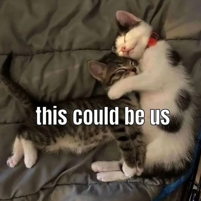 this could be us