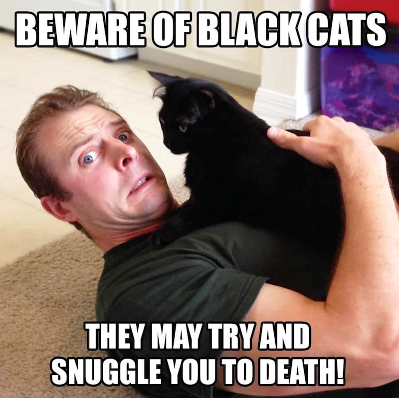 BEWARE OF BLACK CATS THEY MAY TRY AND SNUGGLE YOU TO DEATH!
